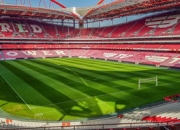 九游体育官方入口-热刺战平波尔图，哈兰德梅开二度法甲：欧战激情再燃