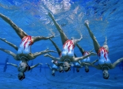 九游娱乐app下载-塞恩斯一骑绝尘，威廉姆斯战术制胜，一场颠覆预期的F1战役