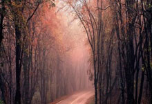 九游游戏-墨西哥男篮险胜澳大利亚男篮，字母哥制霸全场