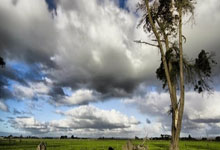 九游体育平台-数据下的真相：德国战车为何爆冷止步？