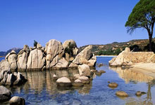 9you娱乐-比利时乒乓球队血洗中国乒乓球队，奥恰洛夫惊艳世界