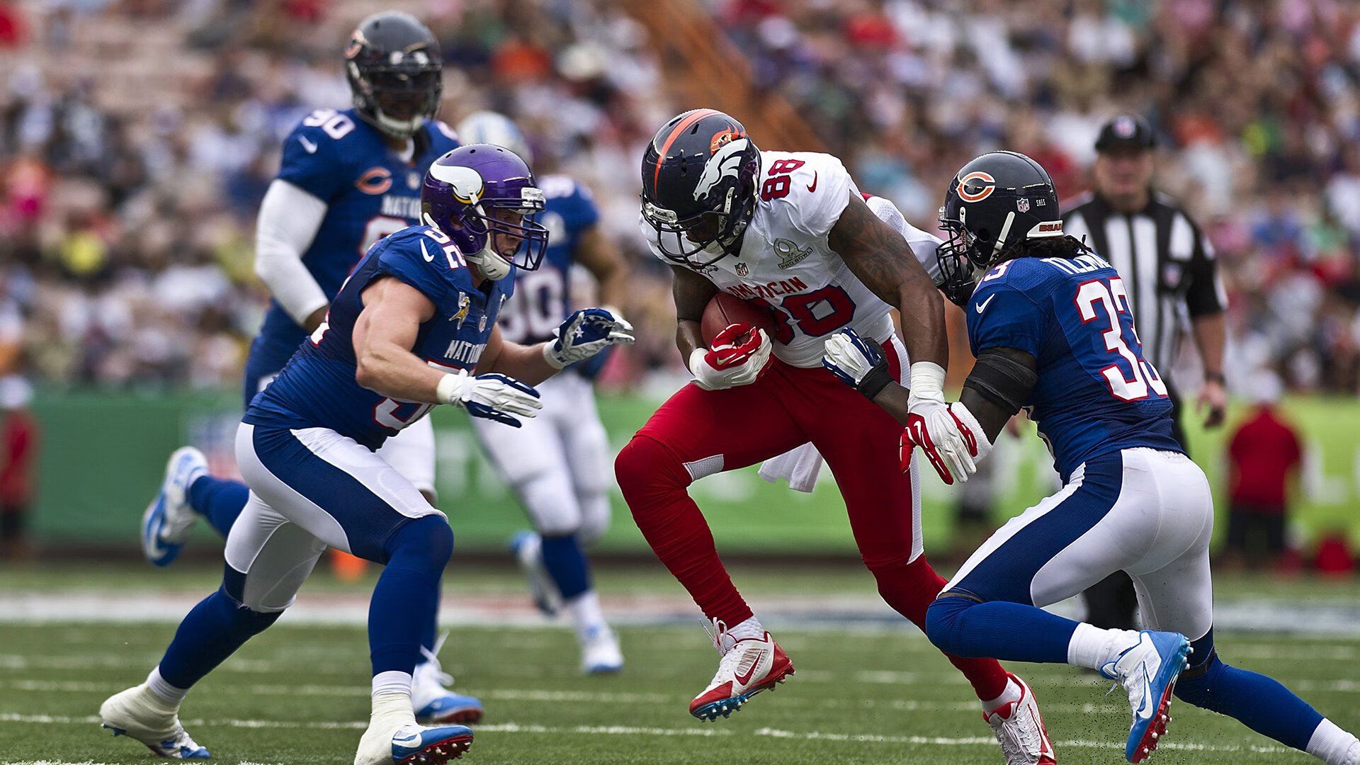 双城记,从吉林到孟菲斯,两种公牛的争冠之路